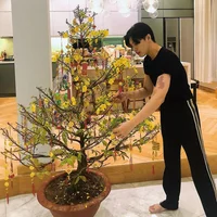 Noo Phước Thịnh decor biệt thự 20 tỷ