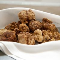 Vì sao nấm truffle trắng được các đầu bếp săn lùng?