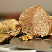 Vì sao nấm truffle trắng được các đầu bếp săn lùng?