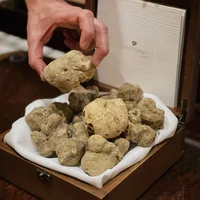Vì sao nấm truffle trắng được các đầu bếp săn lùng?