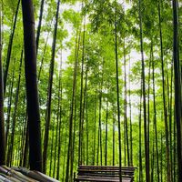 Phát hiện nơi cảnh như trong phim ở vùng núi phía Bắc, du khách nhận xét không phải ai cũng tới được