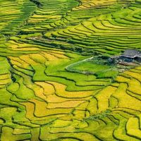Du lịch Sa Pa