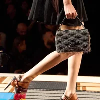 Túi Louis Vuitton