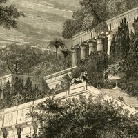 Không gian kiến trúc dây leo