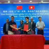 Lễ ký kết Biên bản ghi nhớ thúc đẩy xuất khẩu dừa tươi từ Việt Nam vào thị trường Trung Quốc của Betrimex và Thương hội Nhập khẩu Trái cây Giang Nam Quảng Châu - Ảnh: Hiệp hội Dừa Việt Nam