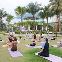 Ảnh trong bài