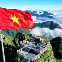 Ảnh trong bài