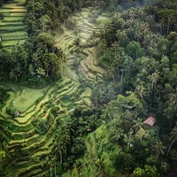 Đảo Bali