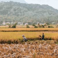 Mai chau du lich tay bac