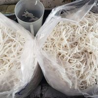 Ảnh trong bài