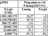Thị trường nào cung cấp ngô nhiều nhất cho Việt Nam trong 9 tháng năm 2024?