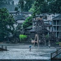 phuong-hoang-co-tran-ivivu-6.jpg