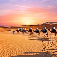 tour-tet-dubai-4n4d-iVIVU8.jpg