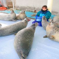 Tour-tet-ta-Hokkaido-Nhat-Ban-ivivu-5.jpg