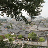 Ảnh trong bài