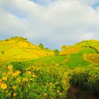 Ảnh trong bài