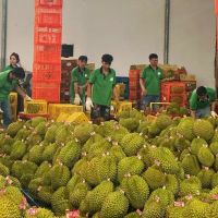 Thương mại hai chiều Việt Nam – Trung Quốc tiến sát mốc 150 tỷ USD