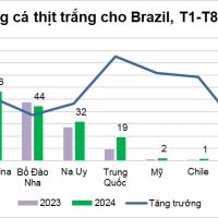 Xuất khẩu cá tra Việt Nam sang thị trường Brazil tăng trưởng ổn định