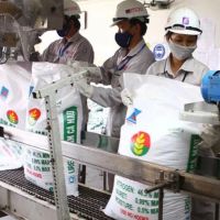 Việt Nam xuất khẩu gần 1,3 triệu tấn phân bón các loại trong 9 tháng