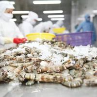 9 tháng, kim ngạch xuất khẩu tôm cao nhất trong nhóm thủy sản