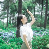 Tắm rừng là gì
