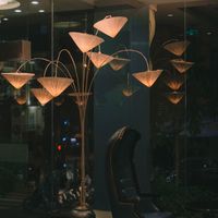 Ảnh trong bài