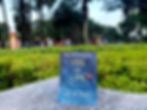 Ảnh trong bài