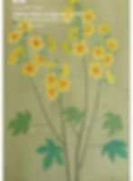 Ảnh trong bài