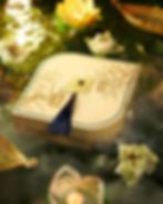 Ảnh trong bài