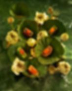 Ảnh trong bài
