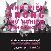 Ảnh trong bài