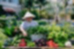 Ảnh trong bài