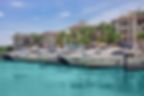 Ảnh trong bài