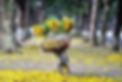 Ảnh trong bài
