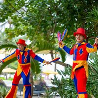 Ảnh trong bài