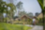 Ảnh trong bài