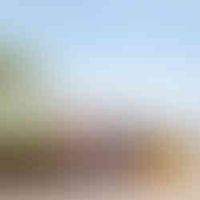 Ảnh trong bài