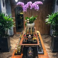 Ảnh trong bài