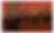 Ảnh trong bài