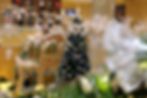 Ảnh trong bài