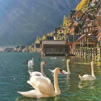 Làng cổ Hallstatt