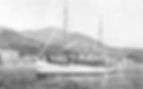 Ảnh trong bài