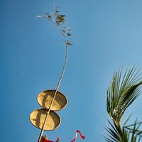 Ảnh trong bài