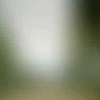 Ảnh trong bài