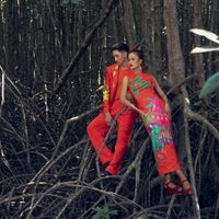 Ảnh trong bài