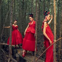 Ảnh trong bài