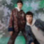 Ảnh trong bài