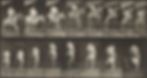 Ảnh trong bài