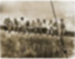 Ảnh trong bài