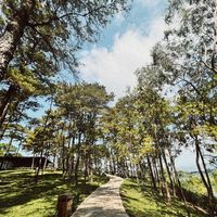 Ảnh trong bài